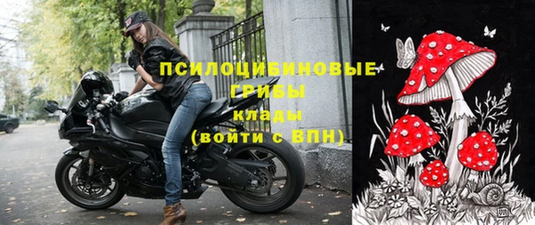 индика Нея