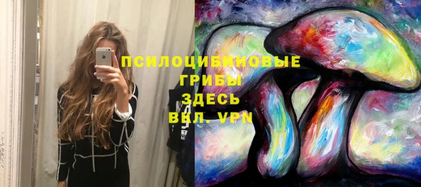 прущие грибы Козельск