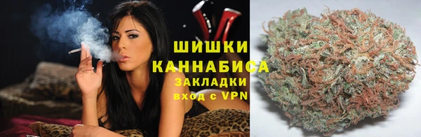 индика Пролетарск