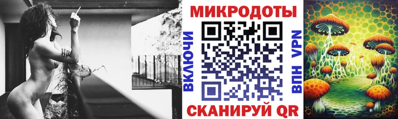 blacksprut маркетплейс  Лыткарино  Псилоцибиновые грибы Psilocybe 