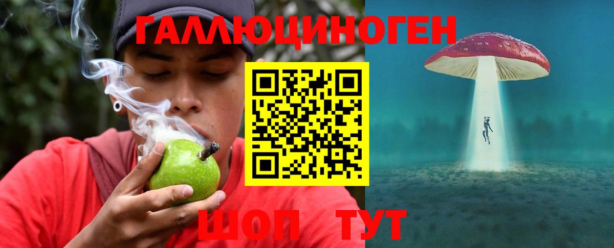 Лыткарино  Галлюциногенные грибы GOLDEN TEACHER  Вход с VPN  Псилоцибиновые грибы Psilocybe 
