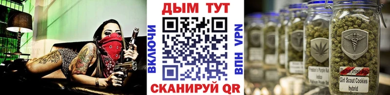 Шишки марихуана семена  Лыткарино 